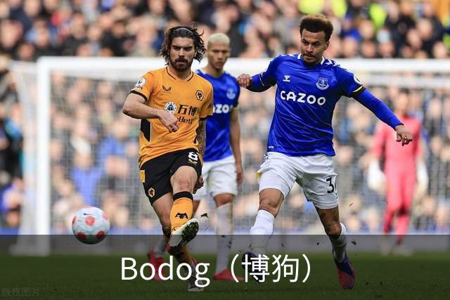 Bodog（博狗）公司简介展示图
